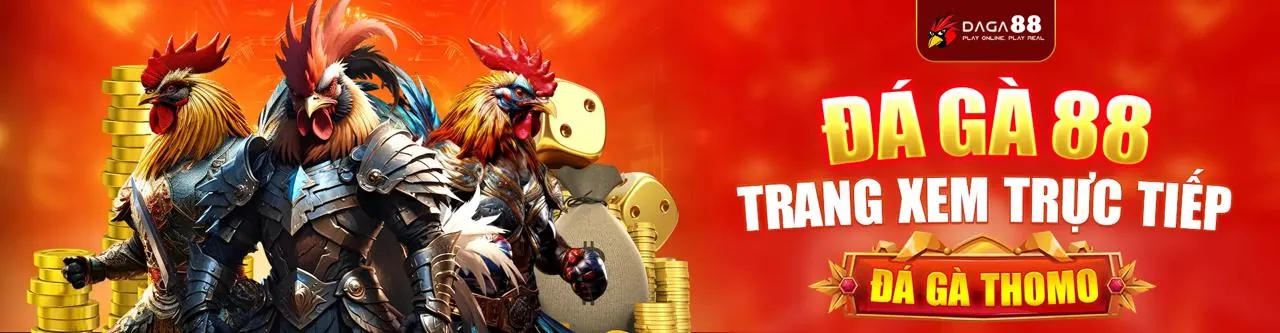 Đá gà trực tuyến keo88 trang chủ chính thức